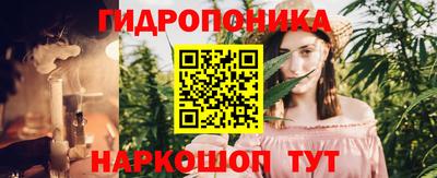 jwh Новозыбков